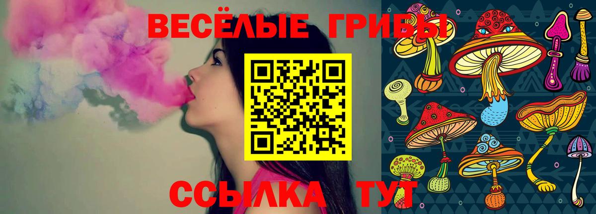 Галлюциногенные грибы прущие грибы  Вход с VPN  Шали 